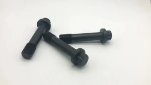 12-Point Flange Head Screws L9